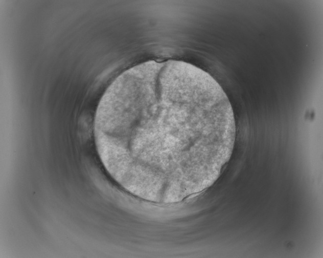 X0000112080043200909151123