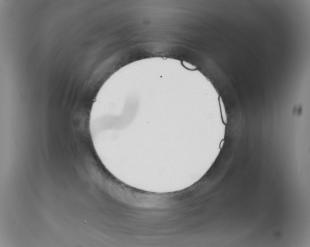 X0000112080044200909151123