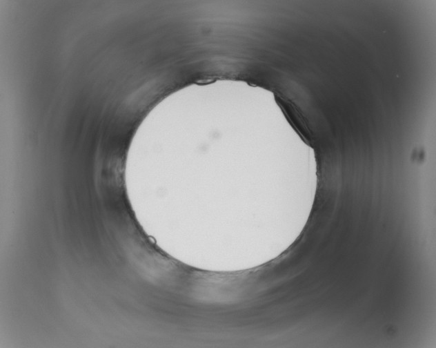 X0000112080045200909151123