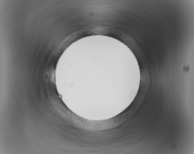 X0000112080046200909151123
