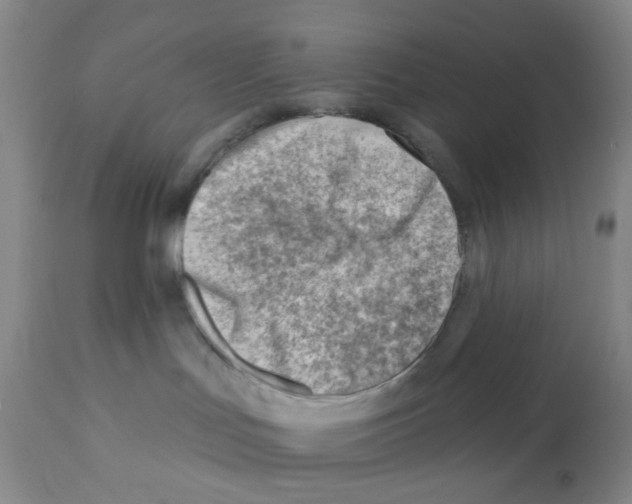 X0000112080047200909151123