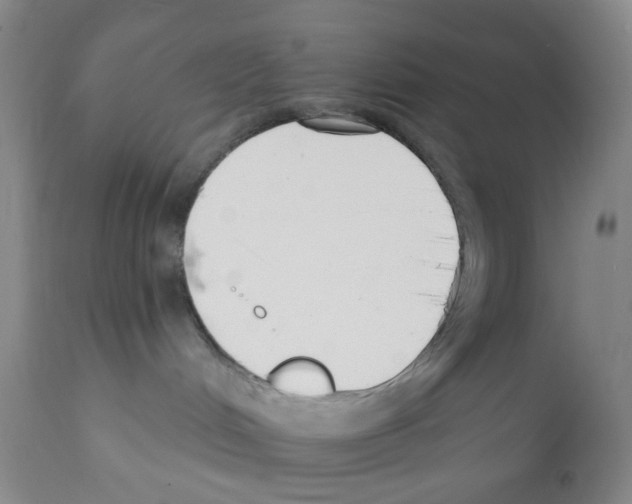 X0000112080048200909151123