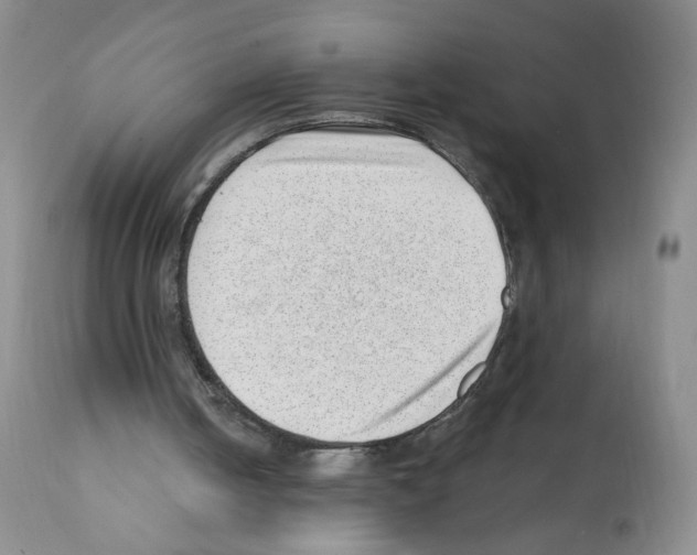 X0000112080050200909151122