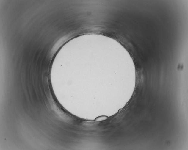 X0000112080051200909151122