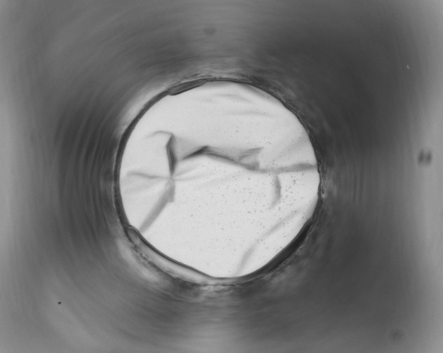 X0000112080052200909151122