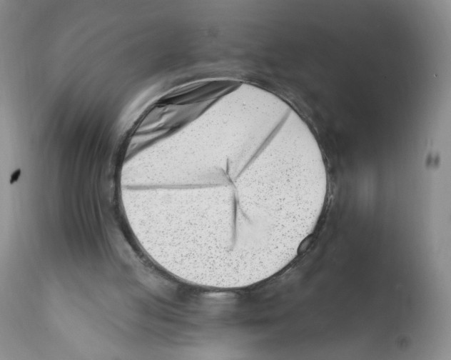 X0000112080053200909151122