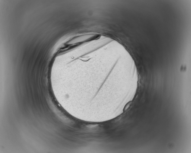 X0000112080054200909151122