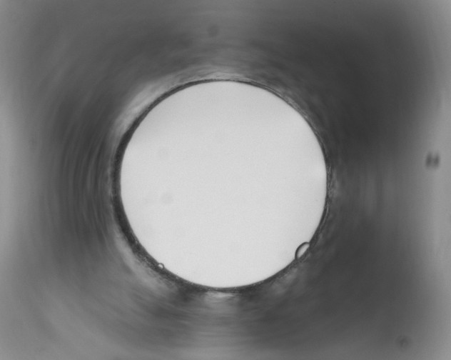 X0000112080055200909151122