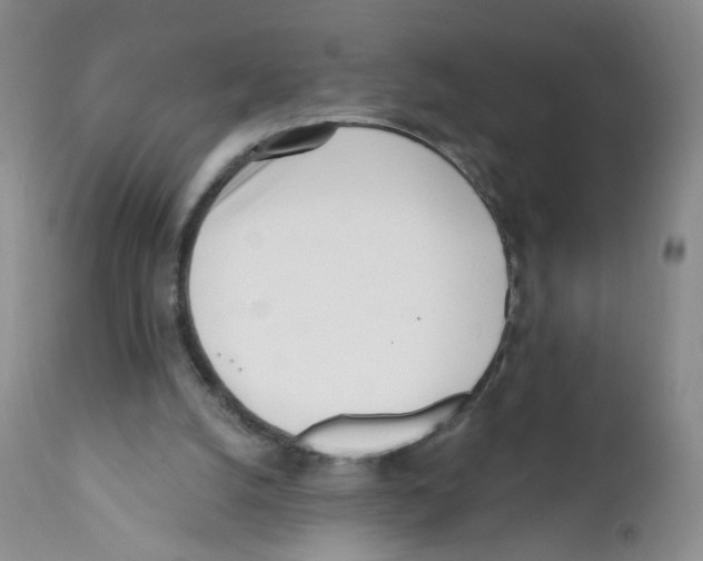 X0000112080056200909151122