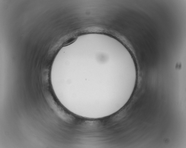 X0000112080057200909151122