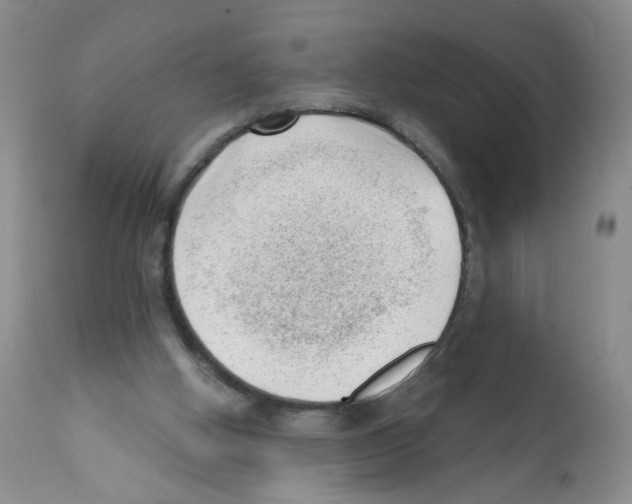 X0000112080058200909151122