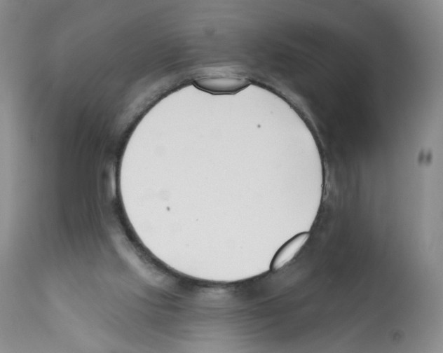X0000112080061200909151122