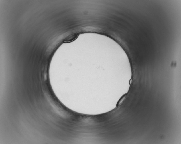 X0000112080062200909151122