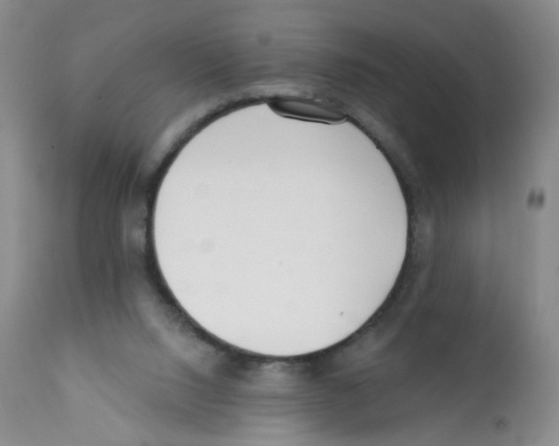 X0000112080064200909151122