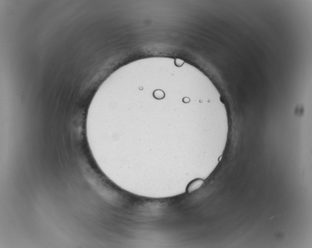 X0000112080065200909151122