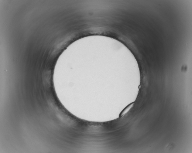 X0000112080066200909151122