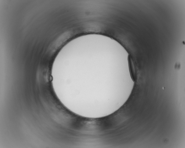 X0000112080068200909151122