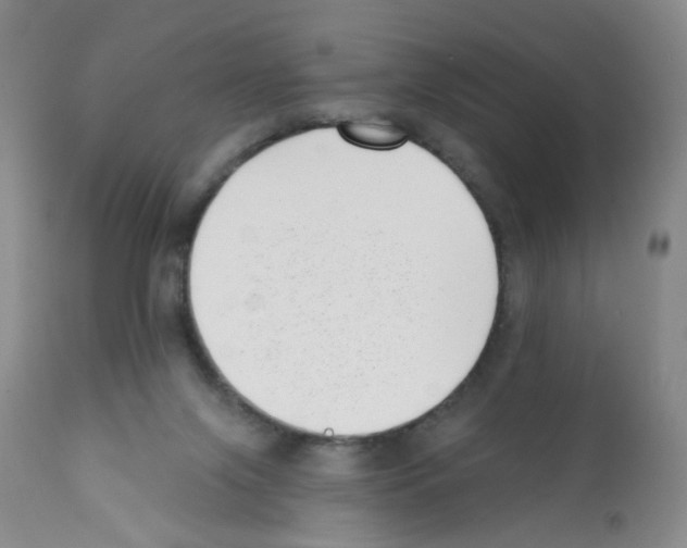 X0000112080071200909151122
