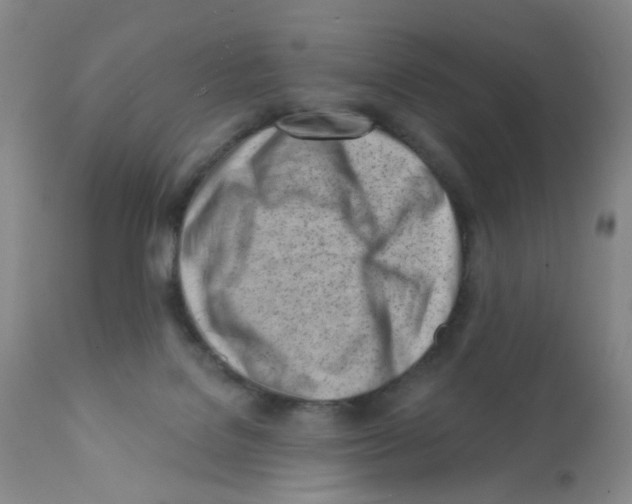 X0000112080076200909151122