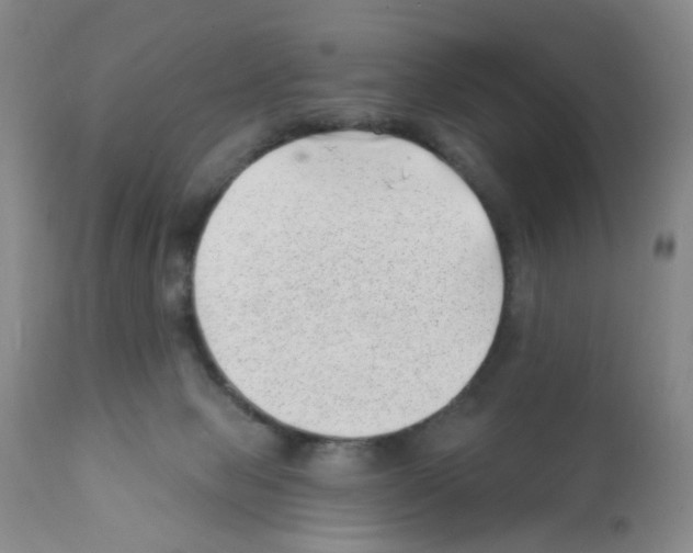 X0000112080077200909151122