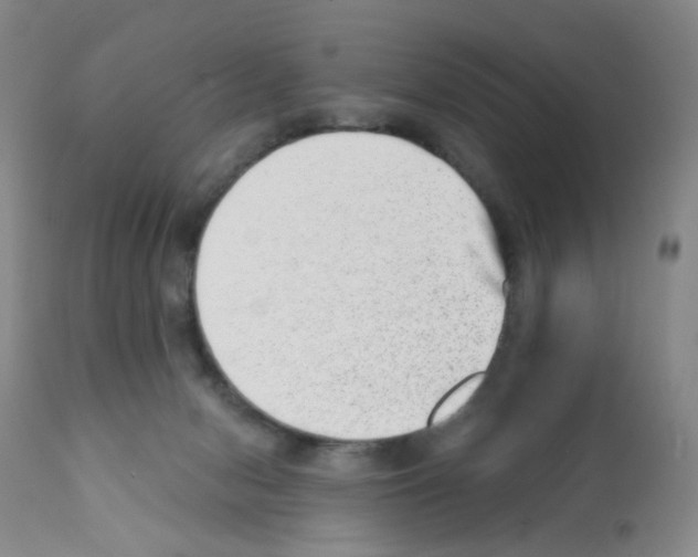 X0000112080078200909151122