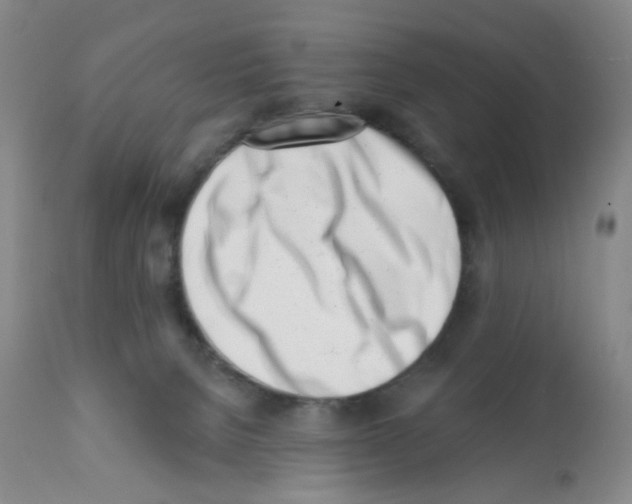 X0000112080080200909151123