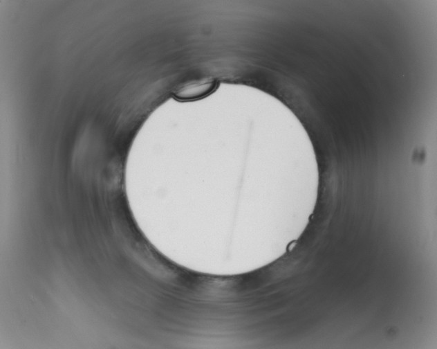 X0000112080081200909151123
