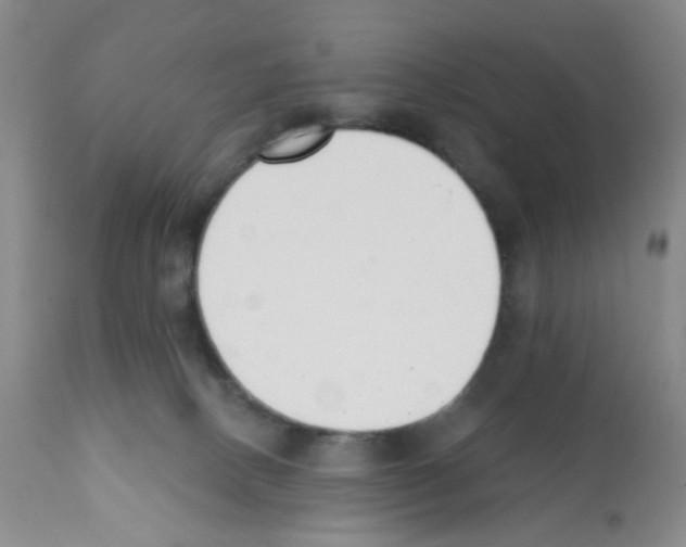 X0000112080082200909151123