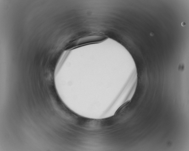 X0000112080084200909151123