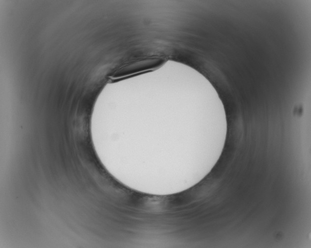 X0000112080088200909151123
