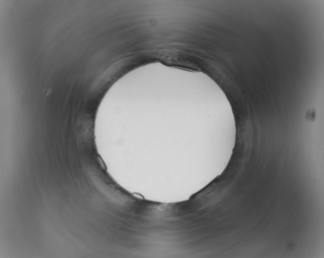 X0000112080092200909151123