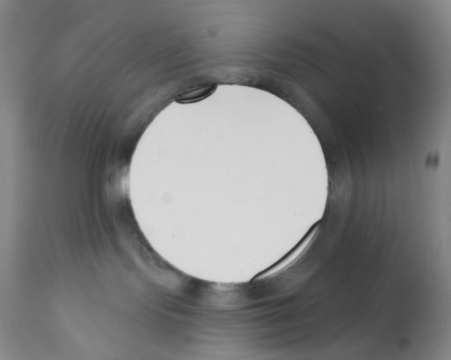 X0000112080095200909151123