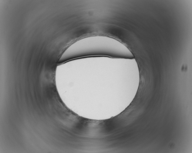 X0000112080096200909151123