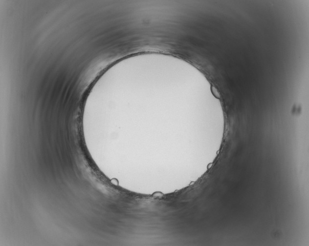 X0000112080098200909151122