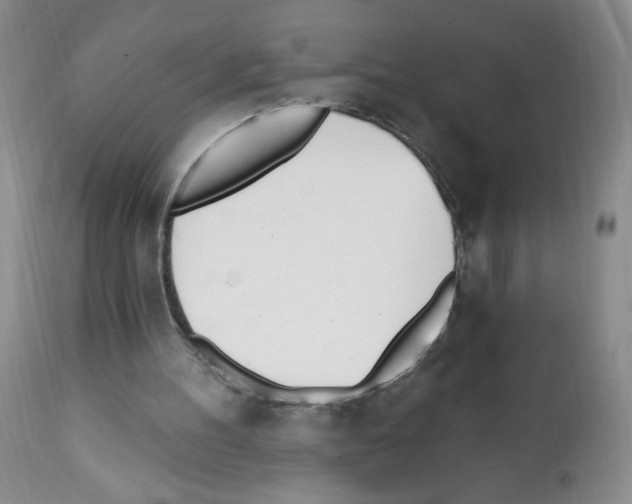 X0000112080100200909151122