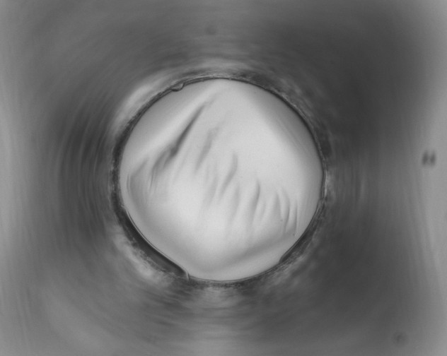 X0000112080101200909151122