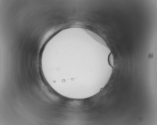 X0000112080102200909151122