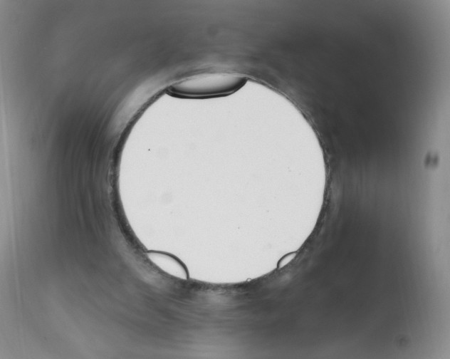 X0000112080103200909151122