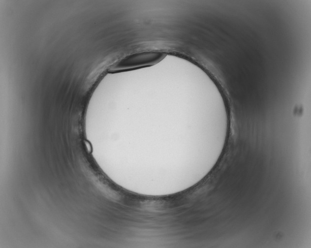 X0000112080105200909151122