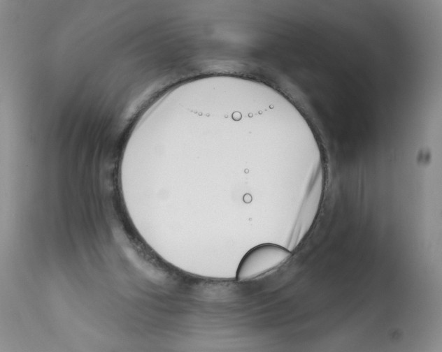 X0000112080106200909151122