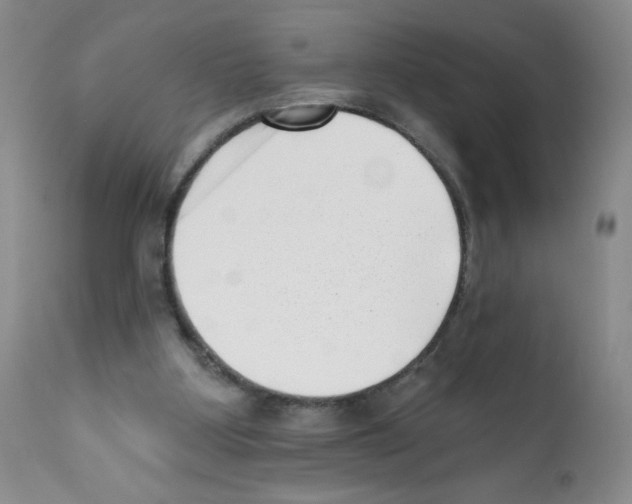 X0000112080107200909151122