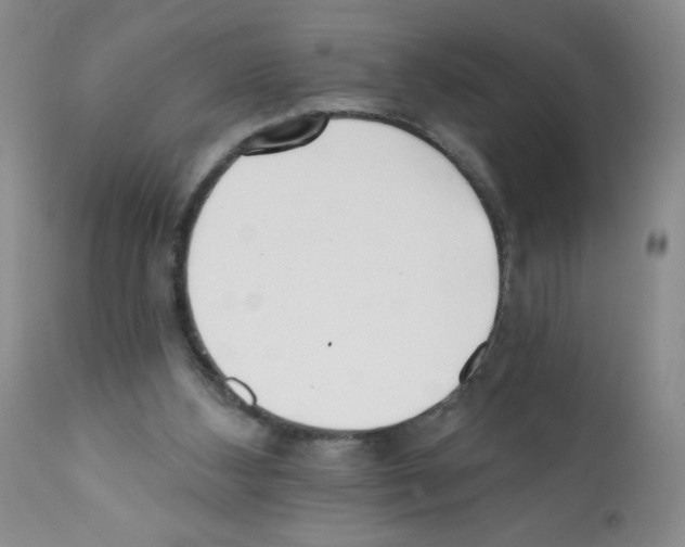 X0000112080108200909151122