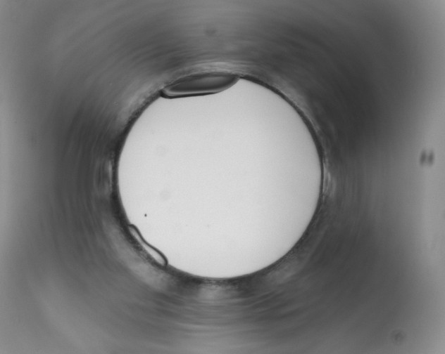 X0000112080109200909151122