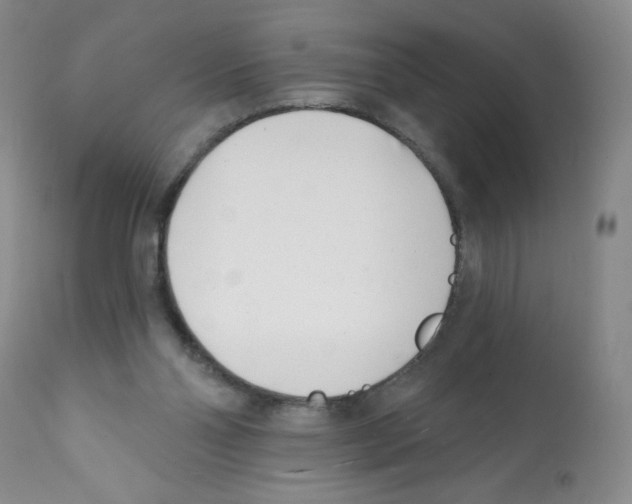 X0000112080110200909151122