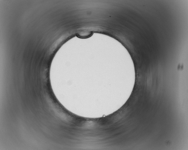 X0000112080111200909151122