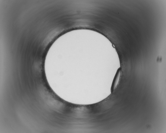 X0000112080112200909151122