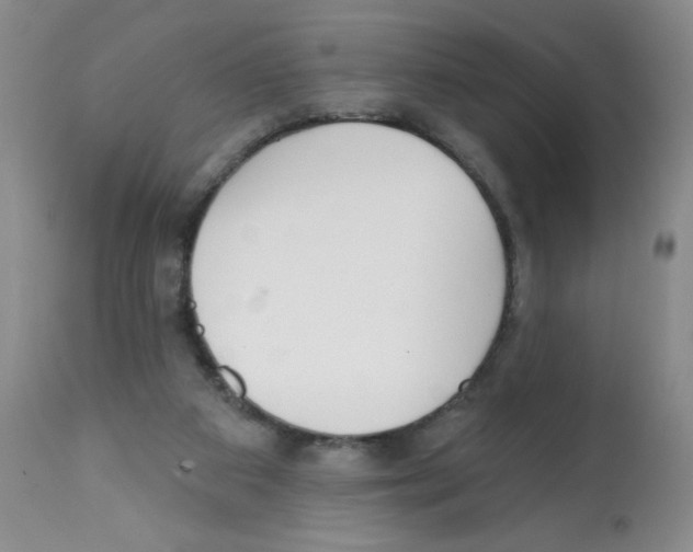 X0000112080113200909151122