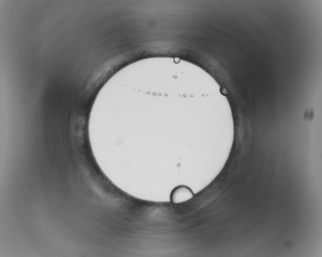 X0000112080115200909151122