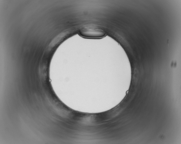X0000112080116200909151122