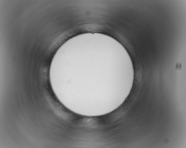 X0000112080117200909151122